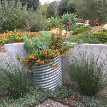 San Roque Contemporary Landscape Renovation
