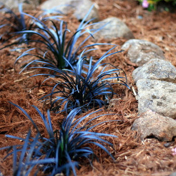 Banner Mountain Entry Garden