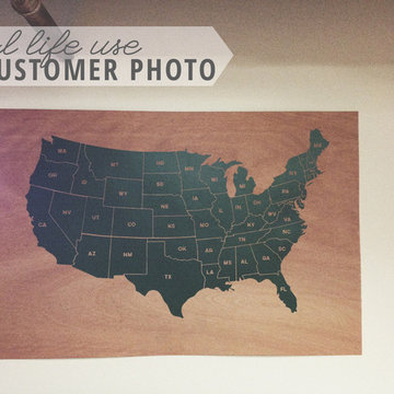 Customer Lifestyles: United States Map