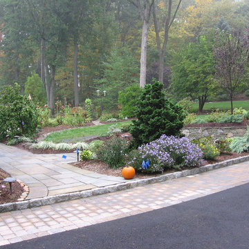 Natural Wall & Walkway Yard Renovation