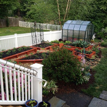 GARDEN GROWING IN RAISED BEDS-PINTER CONTRACTING, STERLING, VA
