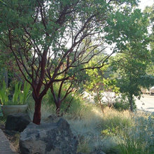 Landscape Inspiration