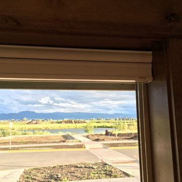 Graber Window Blinds