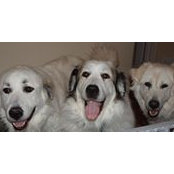 Ursula Glover's photo