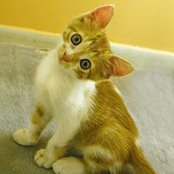 Denise Smith's photo