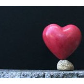 Lisa Miller's photo