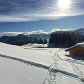 Christina Nitschke's photo