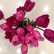 Lucio Mendez's photo