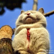 Frank Bao's photo