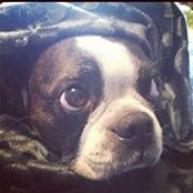 Gregg Carter's photo