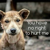 Craig Cahan's photo