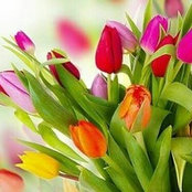 shushanjan's photo