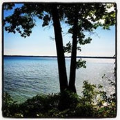Diane Swarthout's photo