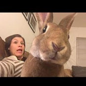 Emily Phelps's photo