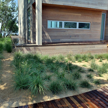 Coastal Seashore Garden| Minimal Plant Diversity