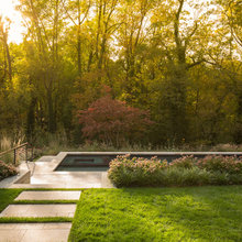 Favorites backyard