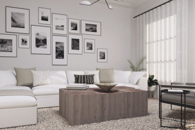 Living Room Design