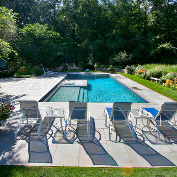Pool & Spa with Sun-Shelf