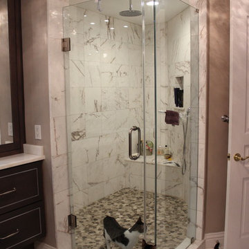 Touch of Glam Master Bath in South Tampa