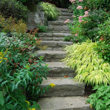 Landscape Steps