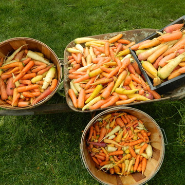 Permaculture/Farms