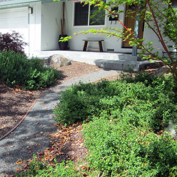 Cupertino, California Low Water Garden Design & Lawn Replacement