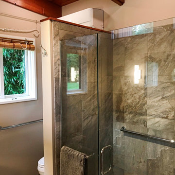 Ann Arbor Master Bath Addition: Water Hill