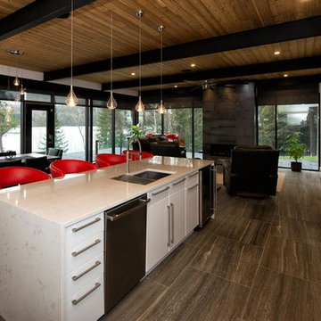 Sleek Industrial Living