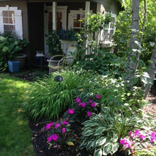 Landscape Ideas