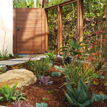 Hilltop Modern