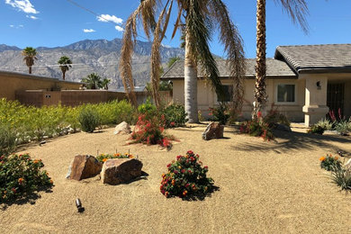 Turning a Dry Lawn Into a Lush Desertscape
