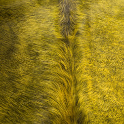NATURAL Cowhide Area Rugs - Area Rugs