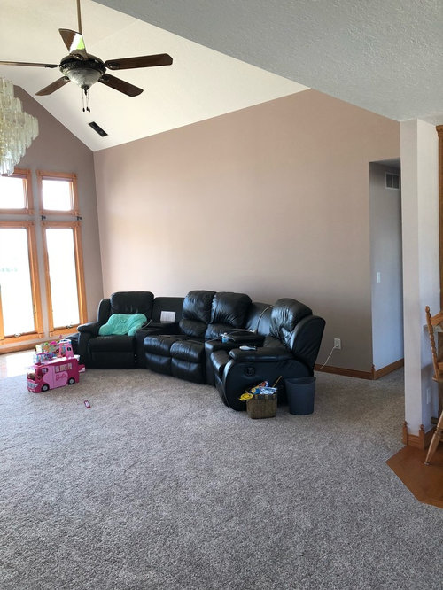 help what color furniture to get and what style?