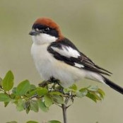 Lance Stainforth's photo