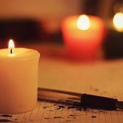 MLaure Josse's photo