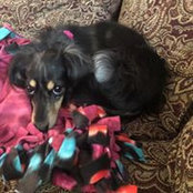 TammyJo Rafuse's photo