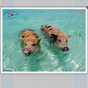 Bryan Sanford's photo