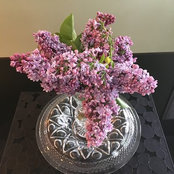 Jennifer Bishop's photo