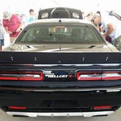 Tj Mathieu's photo