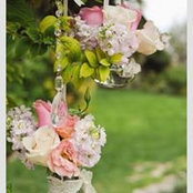 Hilda Yeshova's photo