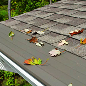 Leaf Guard MN, Leaf Guard Minnesota