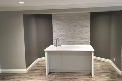 Basement - contemporary basement idea in Other