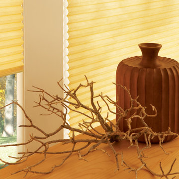 Hunter Douglas Duette® Honeycomb Shade