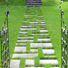 Pathways