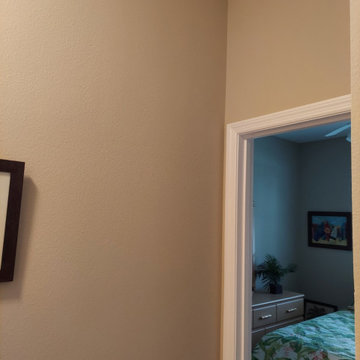 Interior Painting (Woodmere Lakes Subdivision)