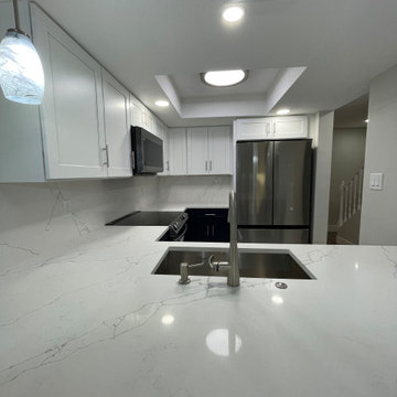 Full Condo Reconstruction - Central