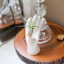decorating ideas