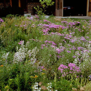 Prairie Gardens