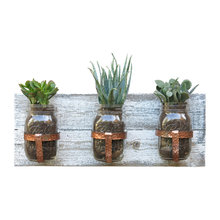 Herb garden