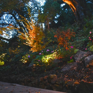 Miner Rd. Orinda, Landscape Lighting